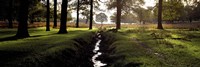 Stream passing through a park, Richmond Park, London, England Fine Art Print