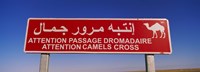 Low angle view of a camel crossing signboard, Douz, Tunisia Fine Art Print