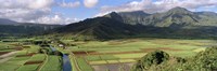 High angle view of a field with mountains in the background, Hanalei Valley, Kauai, Hawaii, USA Fine Art Print