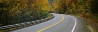 Road passing through a forest, Winding Road, New Hampshire, USA Fine Art Print