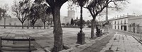 Trees in front of a building, Alameda Vieja, Jerez, Cadiz, Spain Fine Art Print