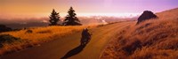 High angle view of a motorcycle moving on a road, Mt Tamalpais, Marin County, California, USA Fine Art Print
