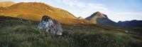 Lichen covered rock in a field, Glen Sligachan, Cuillins, Isle Of Skye, Scotland Fine Art Print