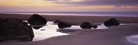 Rocks on the beach, Sandymouth Bay, Bude, Cornwall, England by Panoramic Images - 36" x 12"