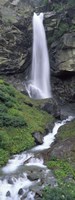Waterfall in a forest, Sass Grund, Switzerland Fine Art Print
