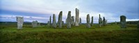 Calanais Standing Stones, Isle of Lewis, Outer Hebrides, Scotland. by Panoramic Images - 36" x 12"
