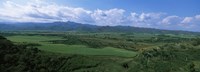 High angle view of sugar cane fields, Cienfuegos, Cienfuegos Province, Cuba Fine Art Print