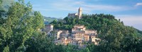 Buildings surrounded by trees, Montefortino, Province of Ascoli Piceno, Marches, Italy Fine Art Print