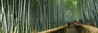 Stepped walkway passing through a bamboo forest, Arashiyama, Kyoto Prefecture, Kinki Region, Honshu, Japan Fine Art Print