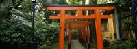 Torii Gates in a park, Ueno Park, Taito, Tokyo Prefecture, Kanto Region, Japan Fine Art Print