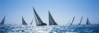 Sailboats racing in the sea, Farr 40's race during Key West Race Week, Key West Florida, 2000 Fine Art Print