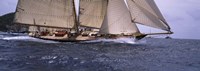 Sailboat in the sea, Schooner, Antigua, Antigua and Barbuda Fine Art Print