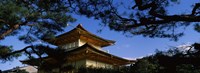 Low angle view of trees in front of a temple, Kinkaku-ji Temple, Kyoto City, Kyoto Prefecture, Kinki Region, Honshu, Japan Fine Art Print