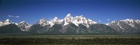 Trees in a forest with mountains in the background, Teton Point Turnout, Teton Range, Grand Teton National Park, Wyoming, USA Fine Art Print