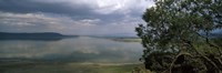 Reflection of clouds in water, Lake Nakuru, Great Rift Valley, Lake Nakuru National Park, Kenya Fine Art Print