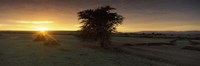 Sunset over a landscape, Masai Mara National Reserve, Great Rift Valley, Kenya Fine Art Print