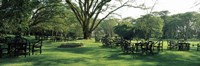 Chairs and tables in a lawn, Lake Naivasha Country Club, Great Rift Valley, Kenya Fine Art Print
