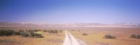 Dirt road passing through a landscape, Carrizo Plain, San Luis Obispo County, California, USA Fine Art Print
