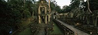 Preah Khan, Angkor, Cambodia Fine Art Print