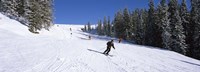 Tourists skiing, Kitzbuhel, Westendorf, Tirol, Austria Fine Art Print