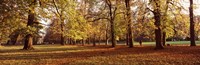 Ludwigsburg Park in autumn, Ludwigsburg, Baden-Wurttemberg, Germany Fine Art Print