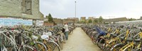 Bicycles parked in the parking lot of a railway station, Gent-Sint-Pieters, Ghent, East Flanders, Flemish Region, Belgium Fine Art Print