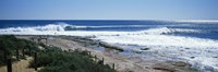Waves breaking on the beach, Western Australia, Australia Fine Art Print