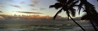 Palm trees on the beach, Hawaii, USA Fine Art Print