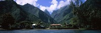 Mountains and buildings on the coast, Tahiti, French Polynesia Fine Art Print
