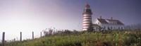 Low angle view of a lighthouse, West Quoddy Head lighthouse, Lubec, Washington County, Maine, USA Fine Art Print