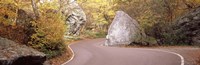 Road curving around a big boulder, Stowe, Lamoille County, Vermont, USA Fine Art Print