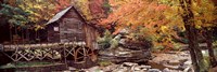 Glade Creek Grist Mill with Autumn Trees, Babcock State Park, West Virginia Fine Art Print