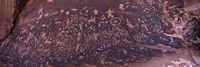 Petroglyphs on a rock, Newspaper Rock State Historic Monument, Newspaper Rock Park, Utah, USA Fine Art Print