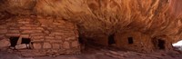 Dwelling structures on a cliff, House Of Fire, Anasazi Ruins, Mule Canyon, Utah, USA by Panoramic Images - 36" x 12"