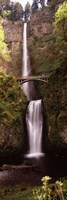 Waterfall in a forest, Multnomah Falls, Columbia River Gorge, Oregon, USA Fine Art Print