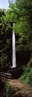 Trail path by a waterfall, Columbia River Gorge, Oregon, USA by Panoramic Images - various sizes