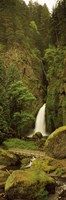 12" x 36" Waterfall Photography