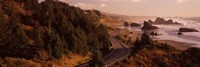 Highway along a coast, Highway 101, Pacific Coastline, Oregon, USA Fine Art Print