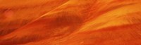 Natural pattern on a hill, Painted Hills, John Day Fossil Beds National Park, Oregon Fine Art Print