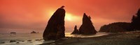 Silhouette of seastacks at sunset, Olympic National Park, Washington State Fine Art Print