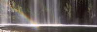 Rainbow formed in front of waterfall in a forest, California, USA Fine Art Print