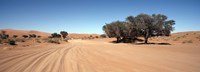 Tire tracks in an arid landscape, Sossusvlei, Namib Desert, Namibia Fine Art Print