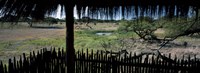 View from a hut, waterhole, Onguma Bush Camp, Etosha National Park, Kunene Region, Namibia Fine Art Print