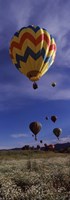 Hot air balloons rising, Hot Air Balloon Rodeo, Steamboat Springs, Colorado Fine Art Print