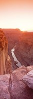River passing Through a Canyon,North Rim, Grand Canyon National Park by Panoramic Images - various sizes