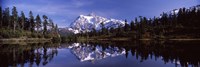 Mt Shuksan Reflection at Picture Lake, North Cascades National Park by Panoramic Images - 36" x 12" - $34.99