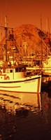 Fishing boats in the bay, Morro Bay, San Luis Obispo County, California (vertical) Fine Art Print