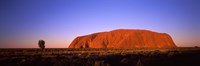 Rock formation, Uluru, Uluru-Kata Tjuta National Park, Northern Territory, Australia Fine Art Print