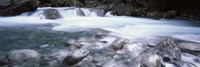 River, Hollyford River, Fiordland National Park, South Island, New Zealand Fine Art Print