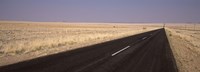 Road passing through a landscape, Sperrgebiet, Namib Desert, Namibia Fine Art Print